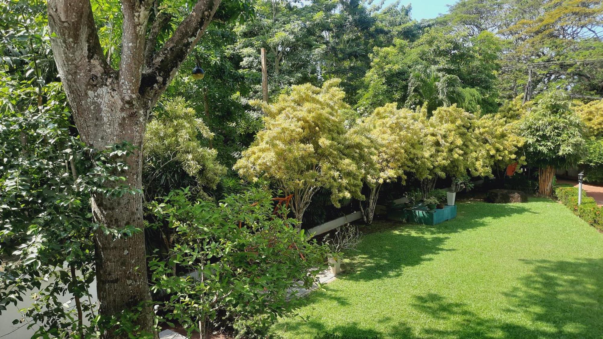 Rockery Villa Ayurveda Bentota Exterior foto
